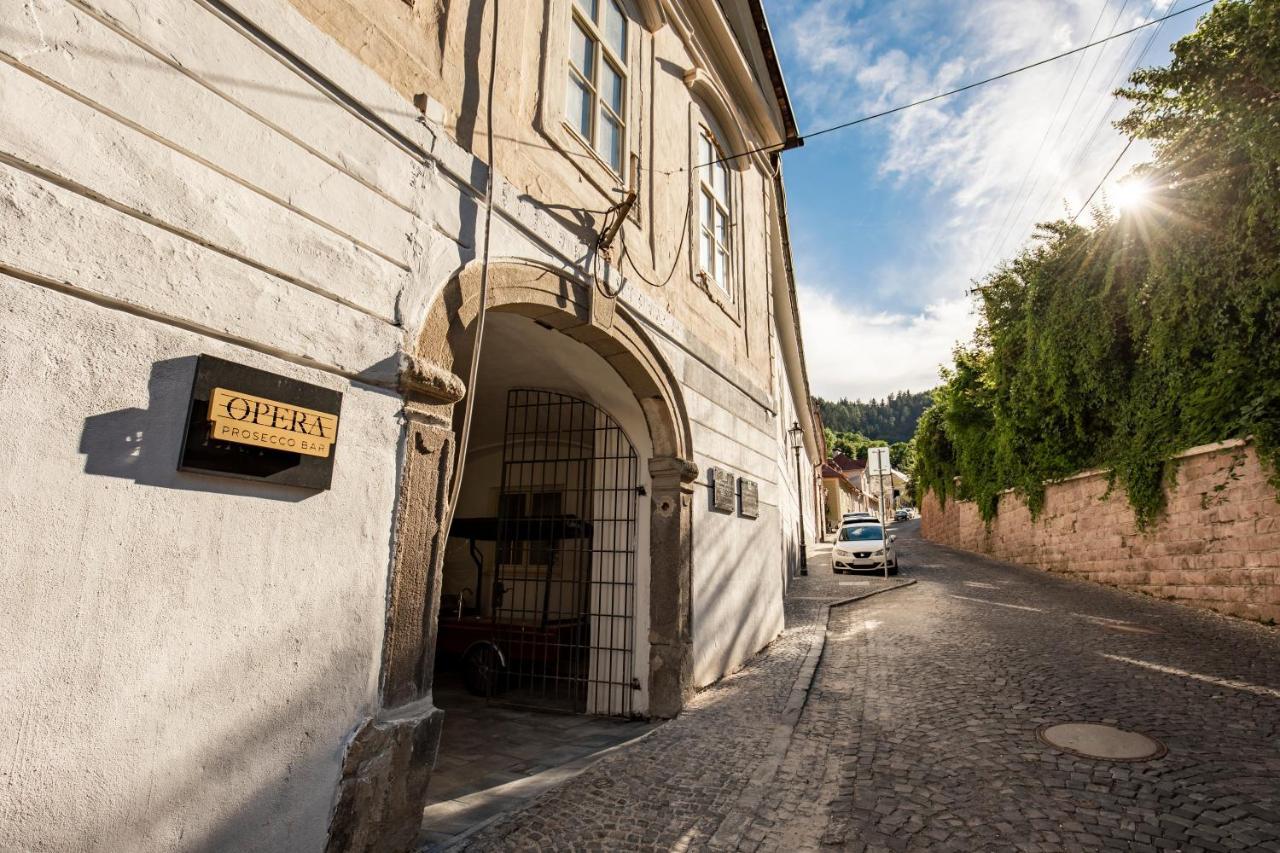 Apartman Blue Moon Banská Štiavnica Εξωτερικό φωτογραφία